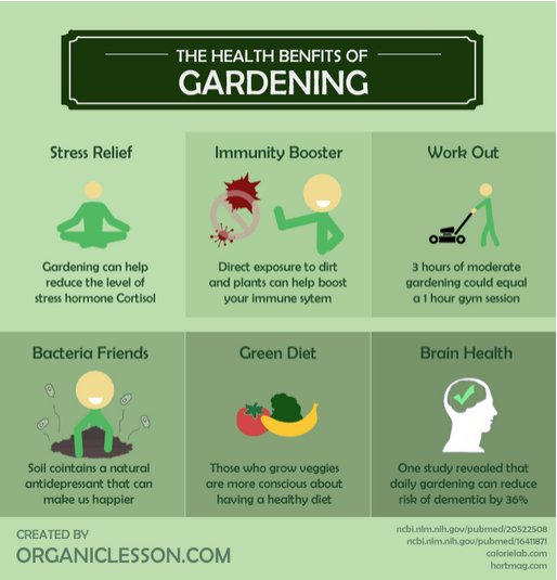 Gardening_infographic