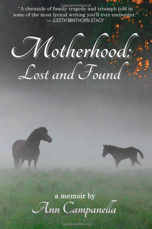 _ann_c_motherhood_lost_and_found_book_cover